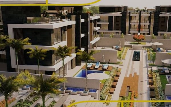 لاند سكيب ذا يارد الشيخ زايد